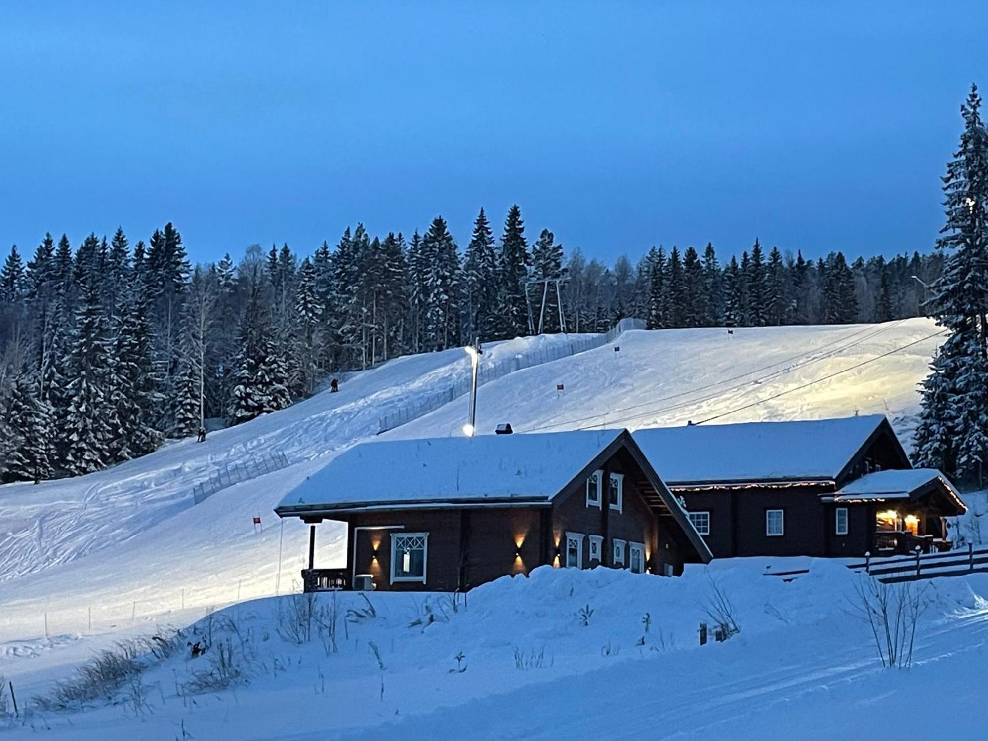 Stuga I Valfjaellet Åmotfors エクステリア 写真